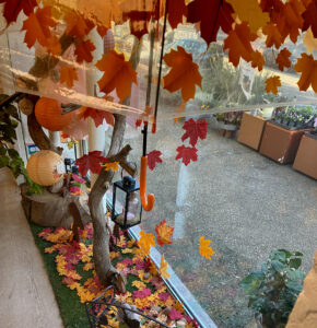Vitrine boutique fleurs automne