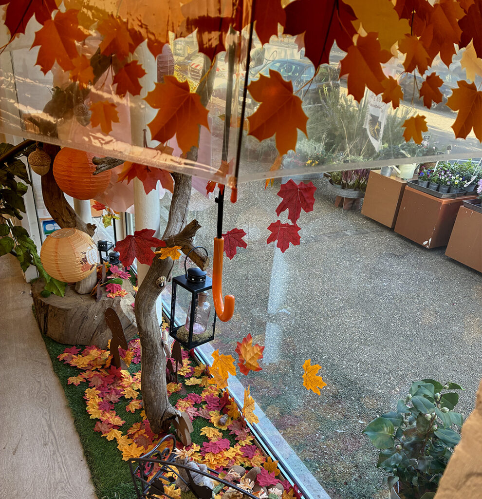 Vitrine boutique fleurs automne