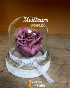 voeux 2026 Un Brin d'folie