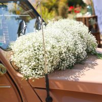 Décoration pour évènement